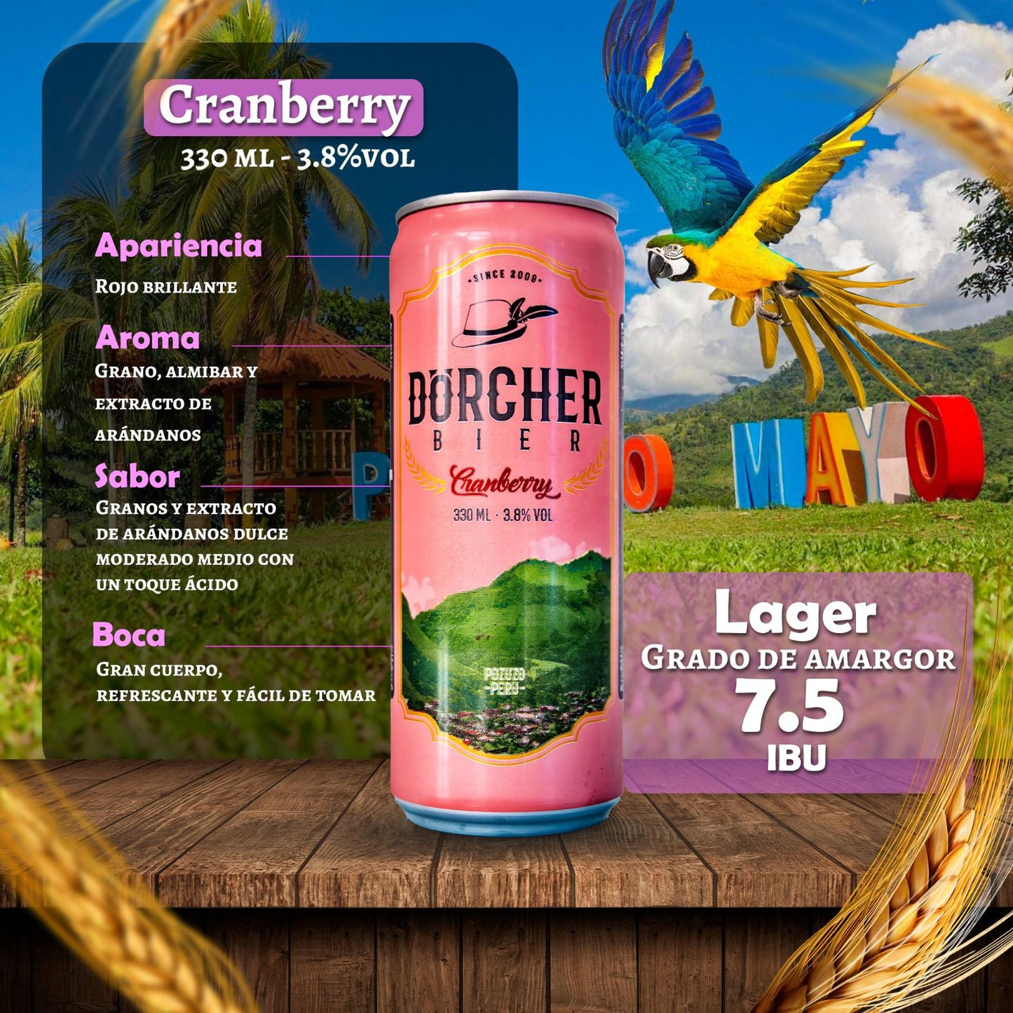 CERVEZA ARTESANAL DORCHER