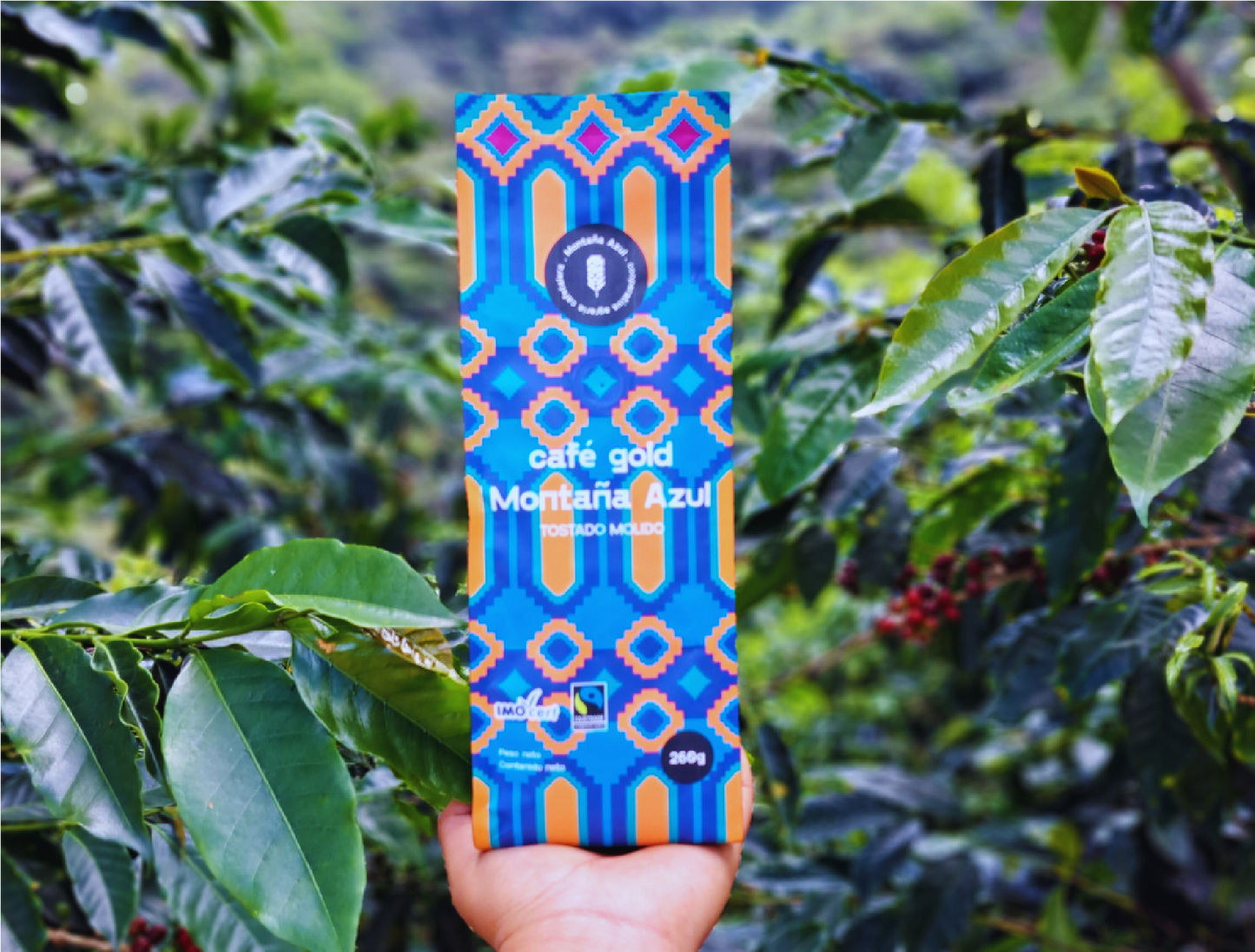 CAFÉ GOLD MONTAÑA AZUL